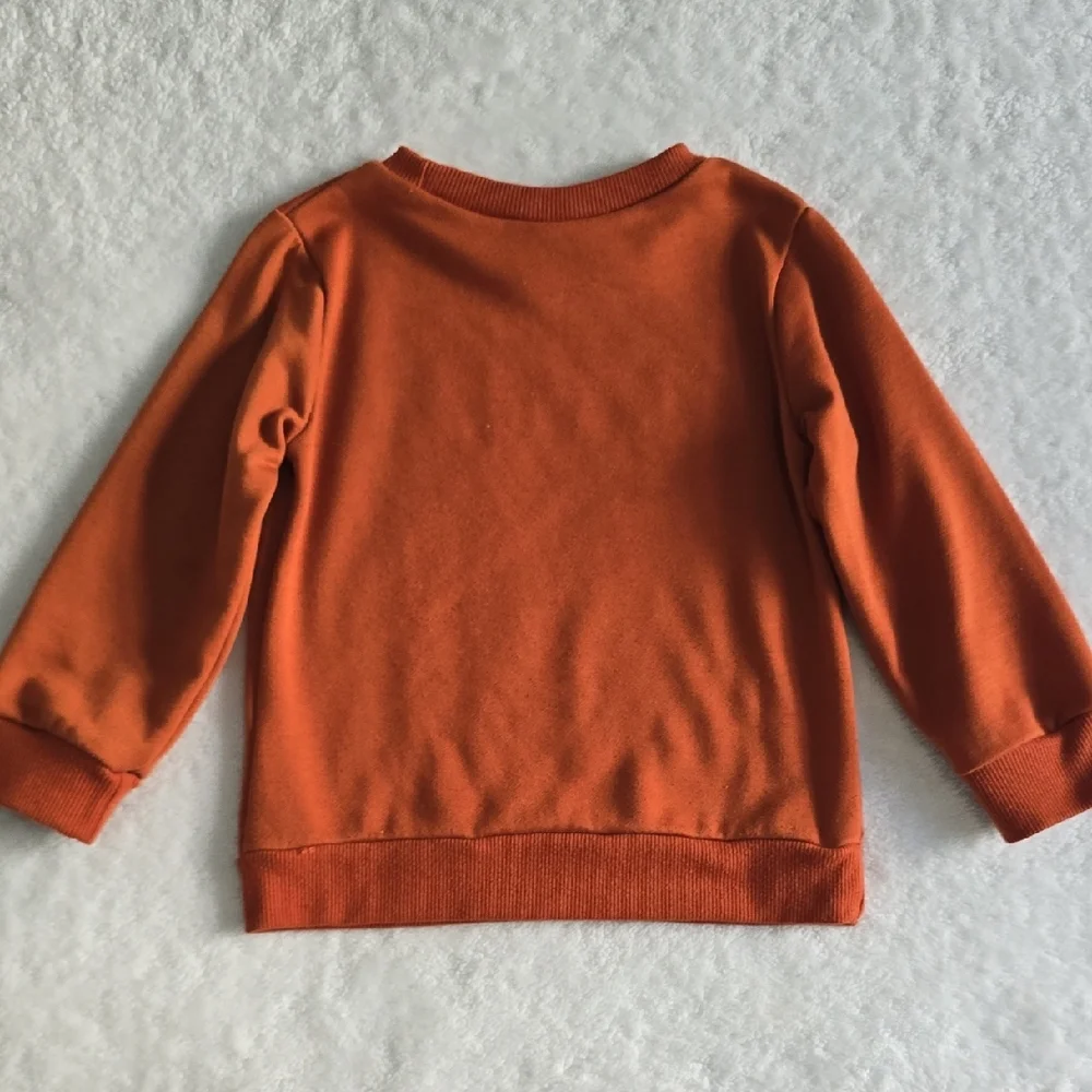 Orange Sweatshirt and Pants Set